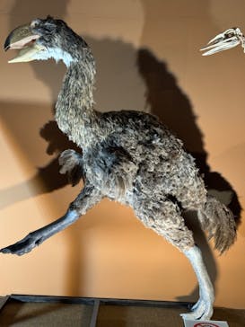 巨大恐竜展2024に投稿された画像（2024/8/3）