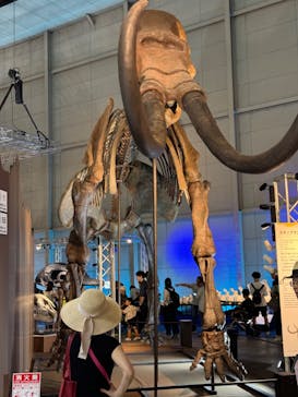 巨大恐竜展2024に投稿された画像（2024/8/3）