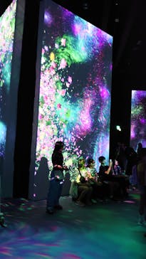 モネ＆フレンズ・アライブに投稿された画像（2024/8/3）