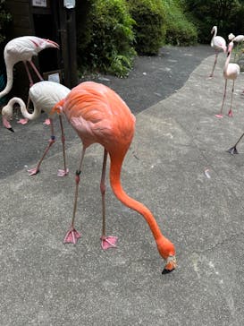 長崎バイオパークに投稿された画像（2024/8/3）