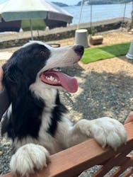 KAMに投稿された画像（2024/8/3）