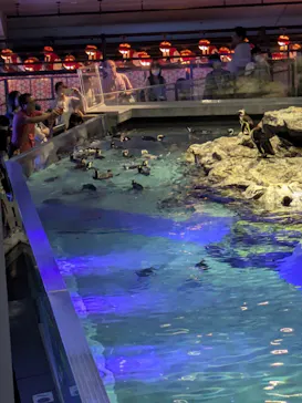 すみだ水族館に投稿された画像（2024/8/3）