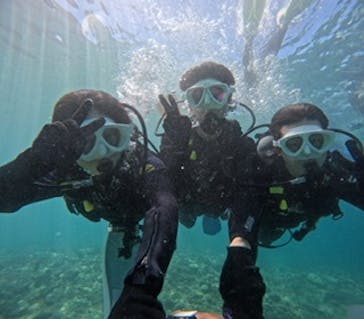 沖縄マリンサービス碧に投稿された画像（2024/8/3）