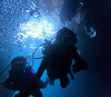 沖縄マリンサービス碧に投稿された画像（2024/8/3）