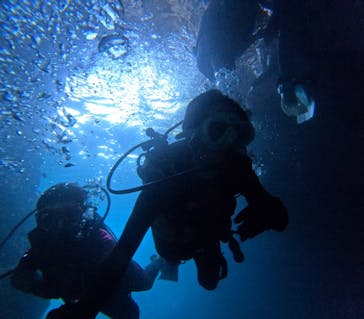 沖縄マリンサービス碧に投稿された画像（2024/8/3）