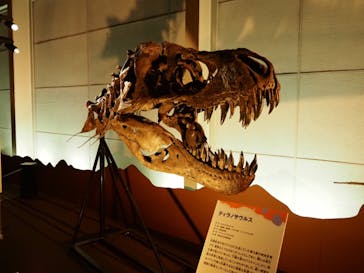 巨大恐竜展2024に投稿された画像（2024/8/3）