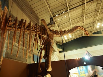 巨大恐竜展2024に投稿された画像（2024/8/3）