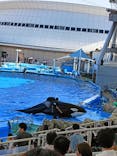 名古屋港水族館に投稿された画像（2024/8/3）