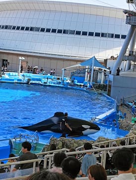 名古屋港水族館に投稿された画像（2024/8/3）