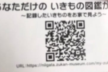 ずかんミュージアム新潟（新潟県民会館）に投稿された画像（2024/8/3）