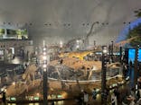 福井県立恐竜博物館に投稿された画像（2024/8/3）