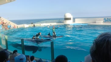 鴨川シーワールドに投稿された画像（2024/8/3）