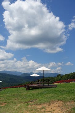 ひるがのピクニックガーデンに投稿された画像（2024/8/3）