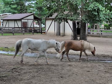 ノーザンホースパークに投稿された画像（2024/8/3）