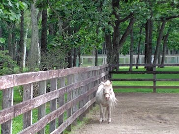 ノーザンホースパークに投稿された画像（2024/8/3）