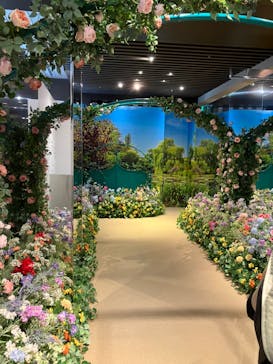 モネ＆フレンズ・アライブに投稿された画像（2024/7/28）