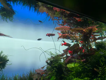 すみだ水族館に投稿された画像（2024/8/3）