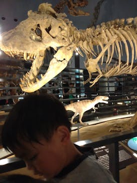 福井県立恐竜博物館に投稿された画像（2024/8/3）