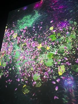 モネ＆フレンズ・アライブに投稿された画像（2024/8/3）