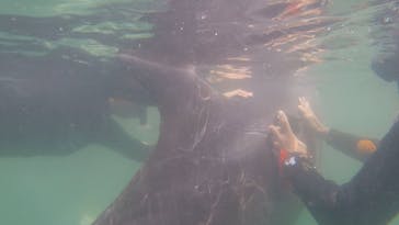 下田海中水族館に投稿された画像（2024/8/3）