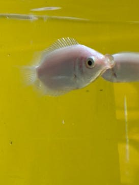 しながわ水族館に投稿された画像（2024/8/3）