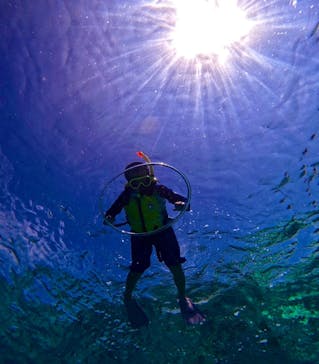 西表島 ADVENTURE PiPi（アドベンチャーピピ）に投稿された画像（2024/8/3）