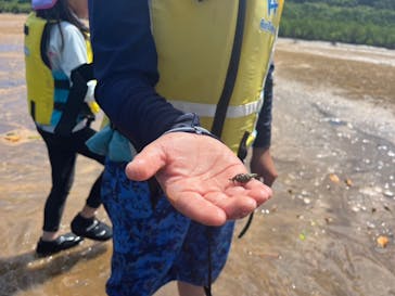 西表島 ADVENTURE PiPi（アドベンチャーピピ）に投稿された画像（2024/8/3）