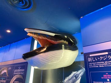 名古屋港水族館に投稿された画像（2024/8/3）