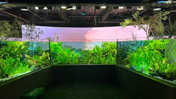 カワスイ 川崎⽔族館に投稿された画像（2024/8/3）