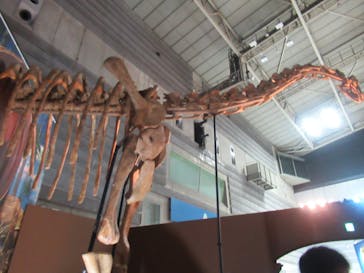 巨大恐竜展2024に投稿された画像（2024/8/3）