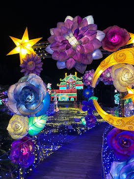 伊豆ぐらんぱる公園に投稿された画像（2024/8/3）