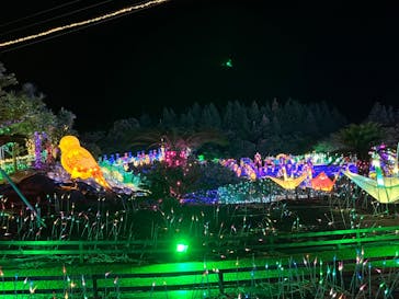 伊豆ぐらんぱる公園に投稿された画像（2024/8/3）