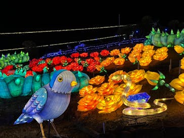 伊豆ぐらんぱる公園に投稿された画像（2024/8/3）