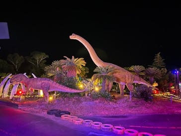 伊豆ぐらんぱる公園に投稿された画像（2024/8/3）