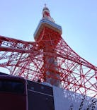 東京タワーに投稿された画像（2024/8/3）