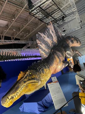 巨大恐竜展2024に投稿された画像（2024/8/3）
