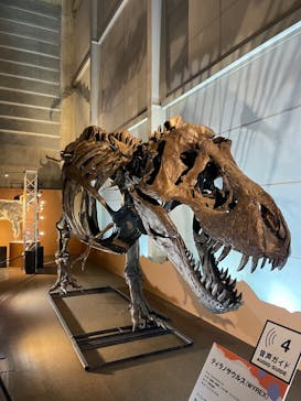 巨大恐竜展2024に投稿された画像（2024/8/3）