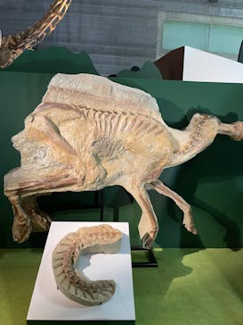 巨大恐竜展2024に投稿された画像（2024/8/3）