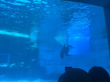 名古屋港水族館に投稿された画像（2024/8/3）