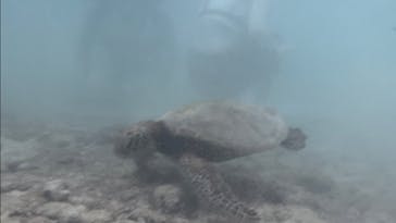 nico 宮古島に投稿された画像（2024/8/3）