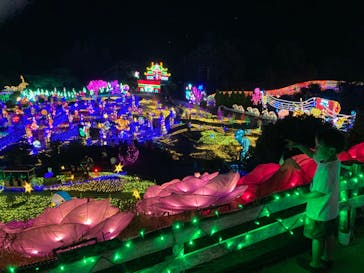 伊豆ぐらんぱる公園に投稿された画像（2024/8/3）