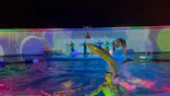 仙台うみの杜水族館に投稿された画像（2024/8/3）
