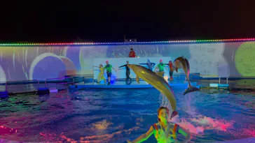 仙台うみの杜水族館に投稿された画像（2024/8/3）