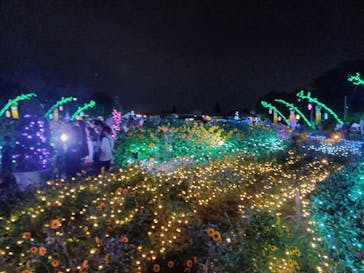 せんだい農業園芸センター　みどりの杜に投稿された画像（2024/8/3）