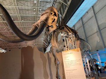 巨大恐竜展2024に投稿された画像（2024/8/3）