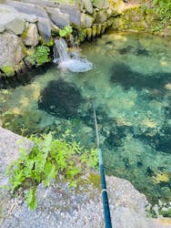 ナラ入沢渓流釣りキャンプ場に投稿された画像（2024/8/3）