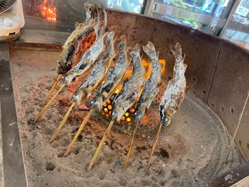 ナラ入沢渓流釣りキャンプ場に投稿された画像（2024/8/3）