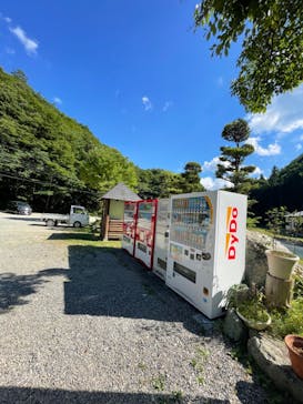 ナラ入沢渓流釣りキャンプ場に投稿された画像（2024/8/3）