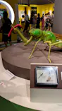 特別展「昆虫 MANIAC」（国立科学博物館）に投稿された画像（2024/8/3）