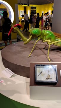 特別展「昆虫 MANIAC」（国立科学博物館）に投稿された画像（2024/8/3）
